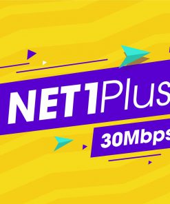 NET1PLUS